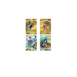 DISPLAY NARUTO 10YUAN6